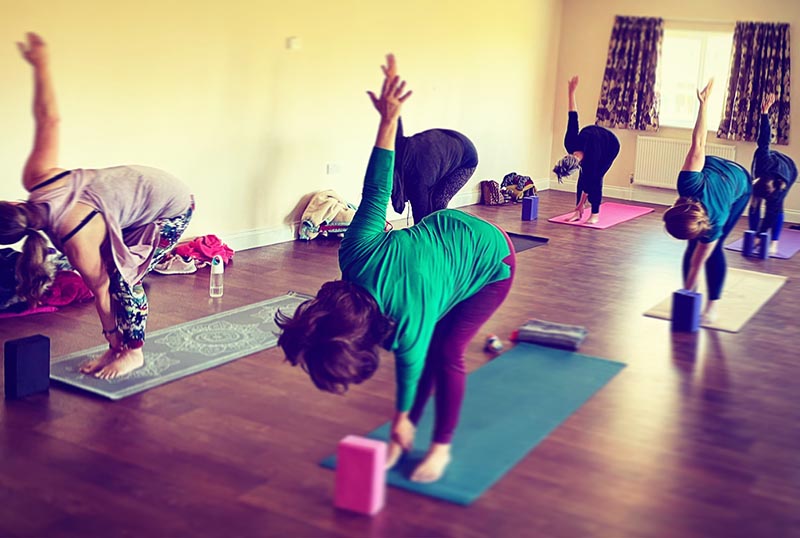 A group of women bend and stretch in a yoga class.